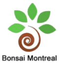Montreal bonsai store